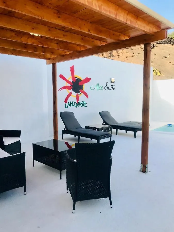 Aloe Suite Tias